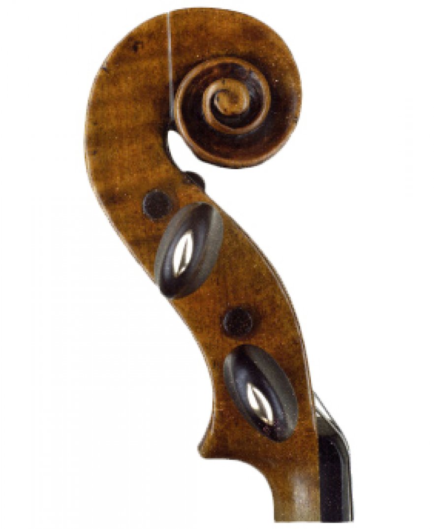 Michele Maker Article